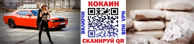 Купить закладки  Кизилюрт  Cocaine Fish Scale 