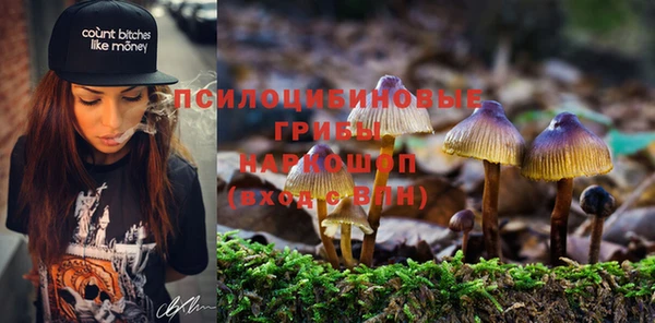 mdma Дмитровск