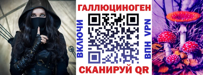 Купить  Кизилюрт  Галлюциногенные грибы Psilocybine cubensis 